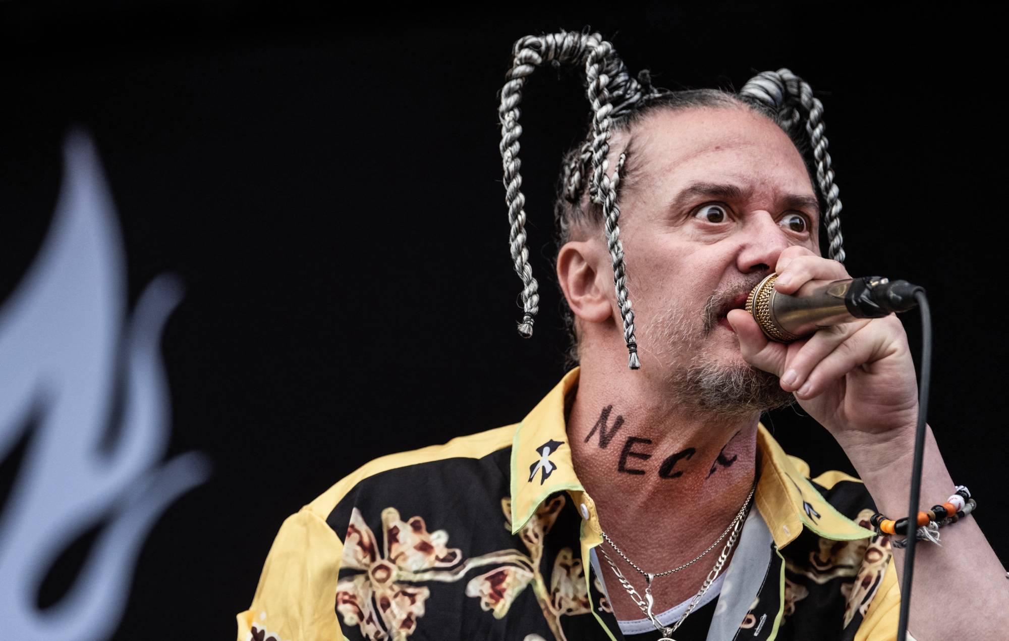 Mike Patton live in concert